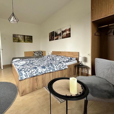 Apartman Aneta Nove Mesto Na Morave Kültér fotó