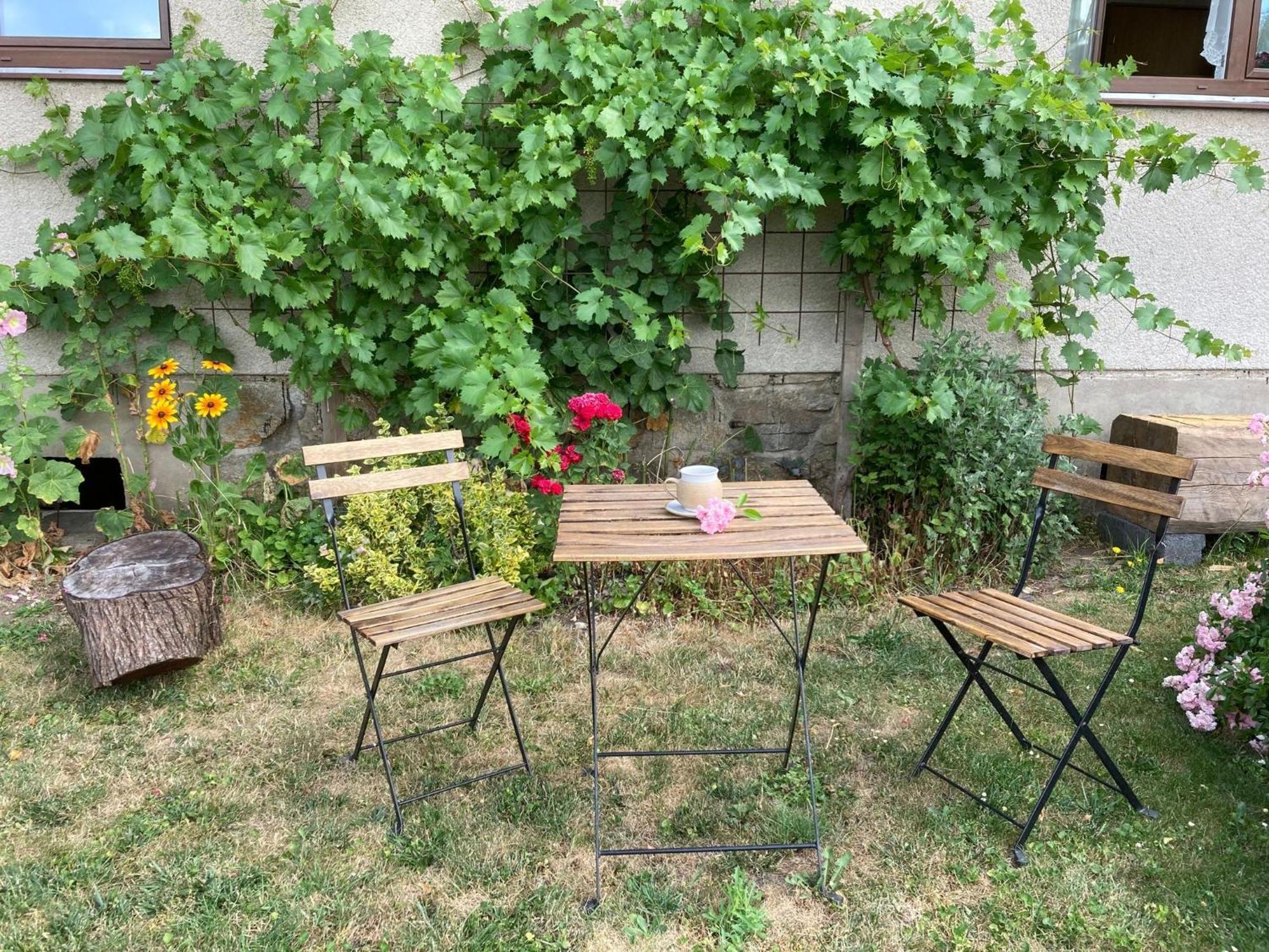 Apartman Aneta Nove Mesto Na Morave Kültér fotó